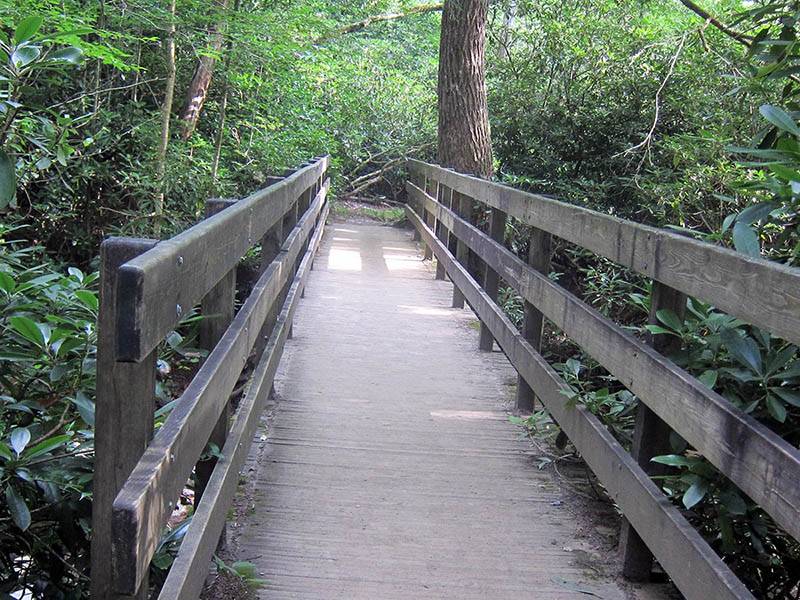 alum cave bluffs trail bridge