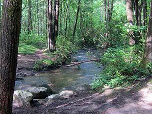 fighting creek nature trail