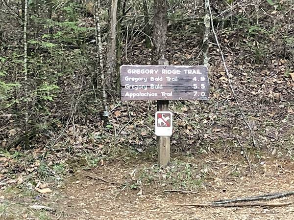 gregory bald trail