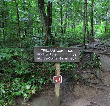 trillium gap trail
