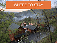 where to stay